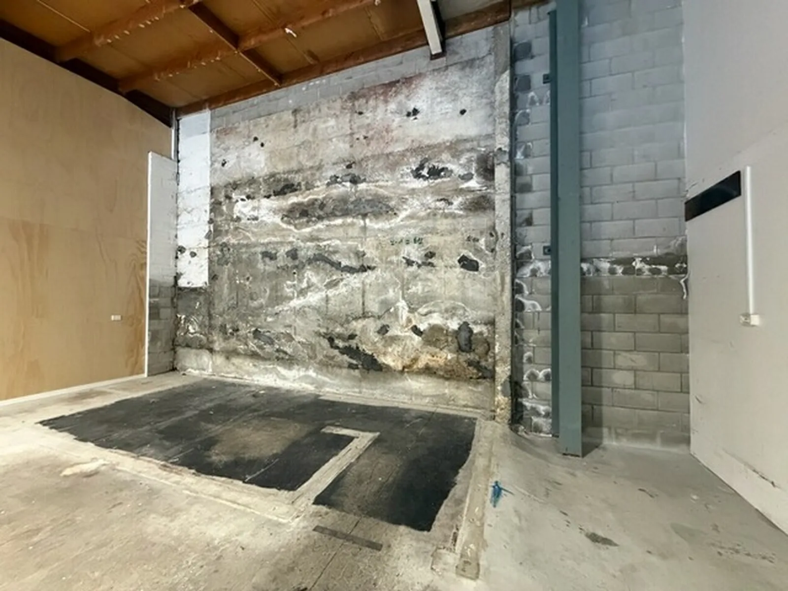 Damp concrete block wall pushing efflorescence through the substrate, Queenstown
