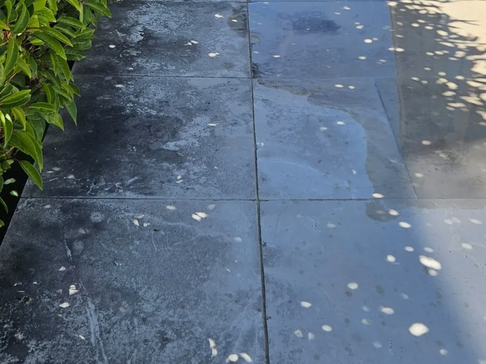 Limestone walkway with dappled shade and water marks before cleaning, Wanaka