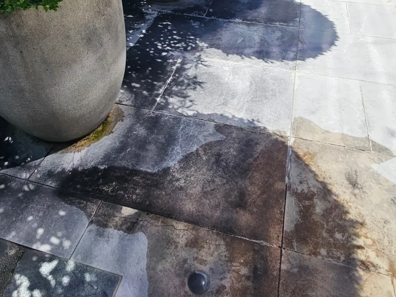 Heavily soiled limestone paving beneath large concrete planters before cleaning, Wanaka